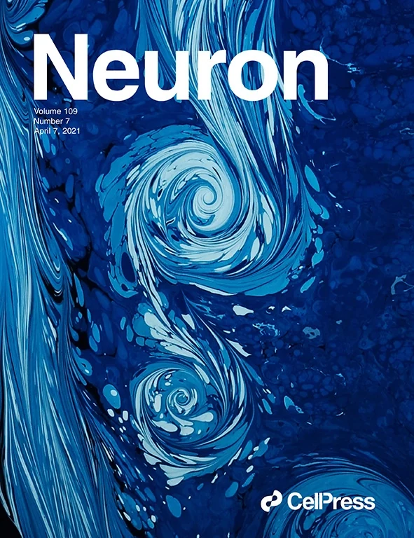Cover of Neuron, the issue carrying the lab's white matter aging study